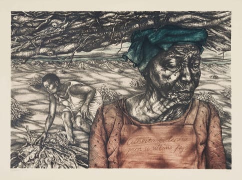 Erika Hibbert; Colheita da Lenha Para u Ultimo Fogo (Firewood Harvest Before the Last Game)