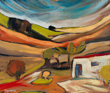 Thijs Nel; Building in a Valley