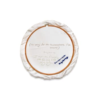 Frances Goodman; Sorry Doesn't Help, from the Toilet Embroidery series