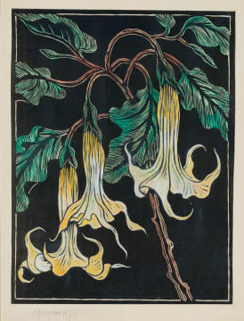 Gregoire Boonzaier; Moon Flowers