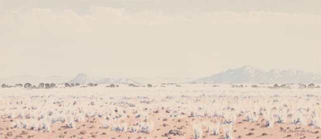 Herbert Diener; Namib Park S.W.A