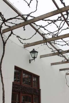 Pledge