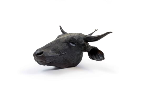Angus Taylor; Disproportions of Inflation-African Vanitas, Disproportion of Inflation series