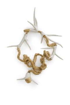 Marlene De Beer; Marlene De Beer 'Doringtou' Hluhluwe creeper, Dalbergia Armata, neckpiece