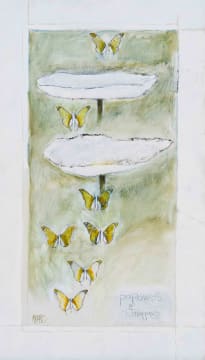 Michael Heyns; Papawers and Skoenlappers (Poppies and Butterflies)