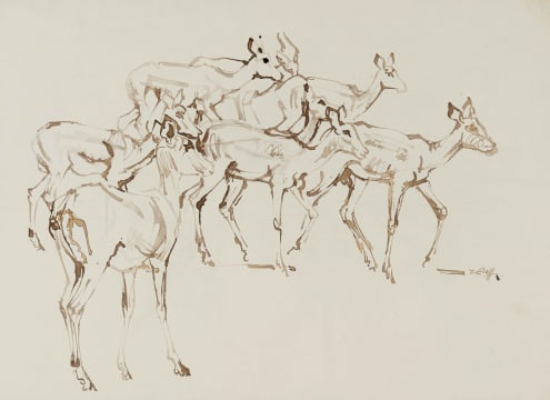 Zakkie Eloff; Impala