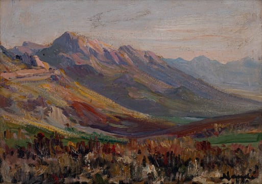 Hugo Naudé; Cape Landscape
