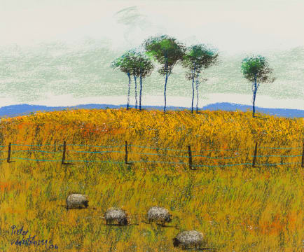 Pieter van der Westhuizen; Untitled (Sheep in a Field)