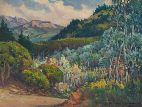 Hugo Naudé; Silver Trees at Kirstenbosch, Cape