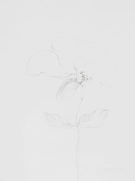 Judith Mason; Monkey Touching a Flower
