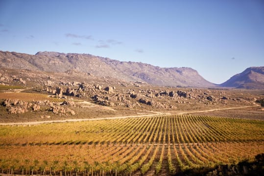 Cederberg; Black Slate Shiraz; 2023; 12 (2 x 6); 750ml