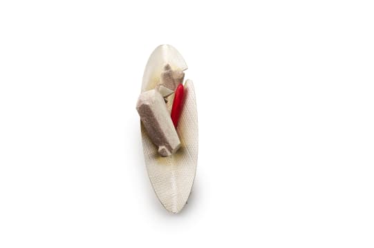 Dr Joani Groenewald; Dr Joani Groenewald 'Cast in Stone' brooch