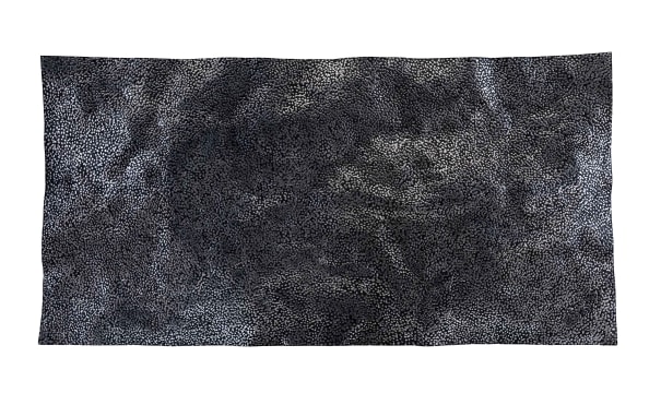 Rodan Kane Hart; 50000 Tears in a Sea Galaxy of Clouds