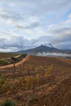 Warwick; Auction Cabernet Franc - Cabernet Sauvignon; 2022; 12 (2 x 6); 750ml