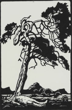 Johan Stegmann; Rooi Vlagboom (Red Flag Tree)