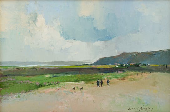 Errol Boyley; Swartland