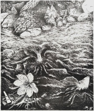 Karel Nel; Somewhere a Brahmarandhra Blooms Quietly