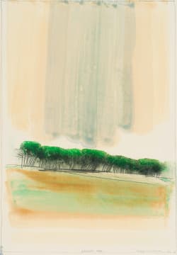 Lukas van Vuuren; Kruger Park