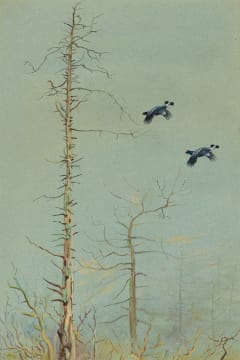 Philip Rickman; Over the Tops (Blackcock in Flight)