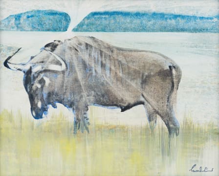 Gordon Vorster; Wildebeest