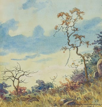 Erich Mayer; Bush Veld