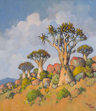 Conrad Theys; Quiver Trees, Richtersveld