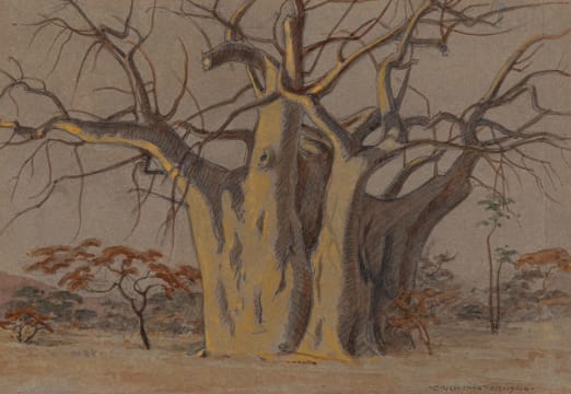 Erich Mayer; Baobab
