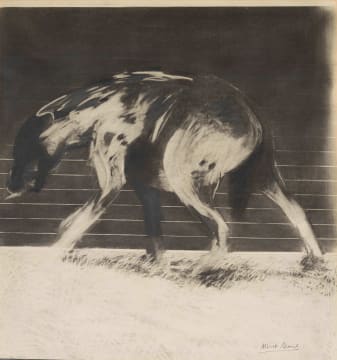 Albert Adams; Hyena