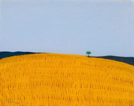 Pieter van der Westhuizen; Landscape