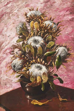Hennie Griesel; Proteas