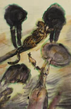 Heidi Fourie; Evolution