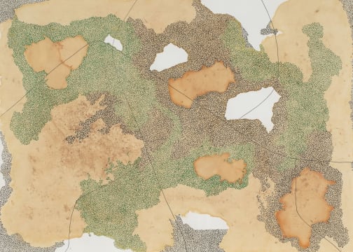 Wezile Harmans; The Land of the South