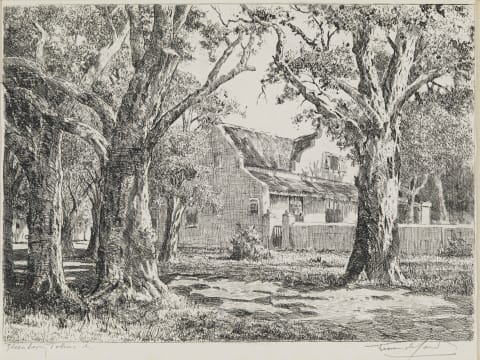 Tinus de Jongh; Steenberg, Tokai