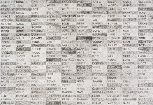 Willem Boshoff; Word Woes