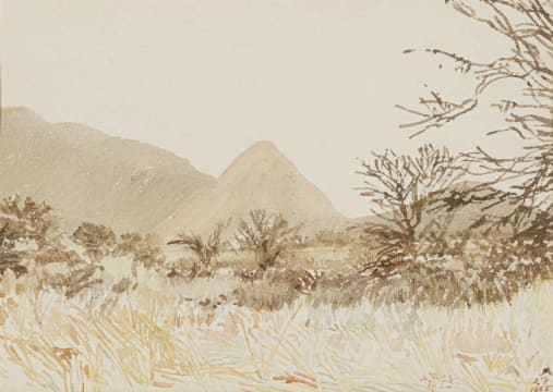 Adolph Jentsch; S.W. Afrika