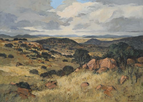 Eben van der Merwe; Free State Landscape