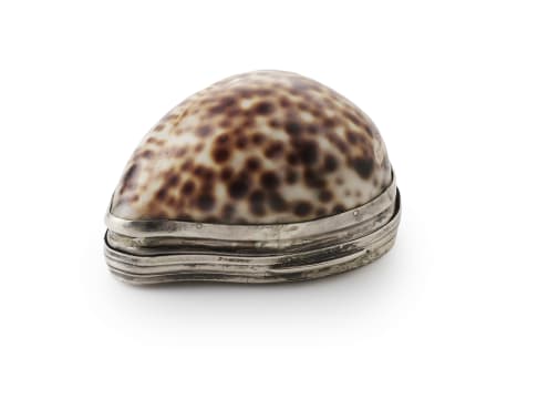A silver-mounted cowrie shell snuff box, apparently unmarked.