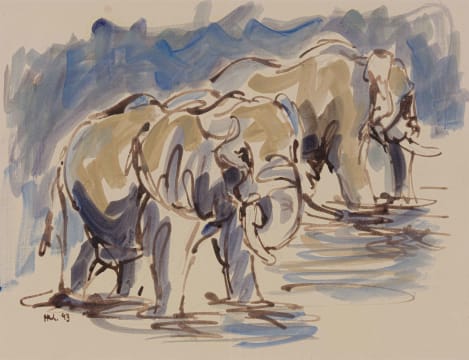 Hennie Niemann Jnr; Two Elephants