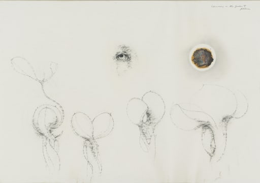 Judith Mason; Adversary in the Garden IV