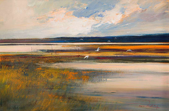 Derric van Rensburg; Birds over Water