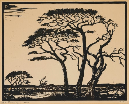 Jacob Hendrik Pierneef; Kameeldorings, Springbokvlakte (Camelthorns, Springbok Plains) (Nilant 95)