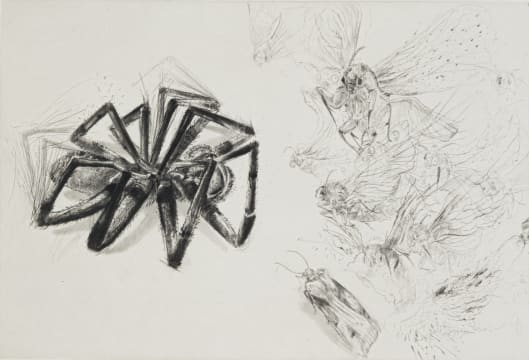 Diane Victor; Arachne and Athena, from Birth of a Nation series