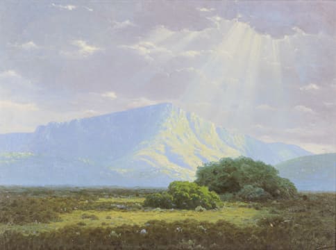 Jan Ernst Abraham Volschenk; Sunbeams (In The Langebergen, Riversdale)