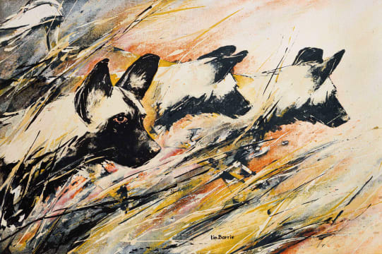 Lin Barrie; Wild Dogs