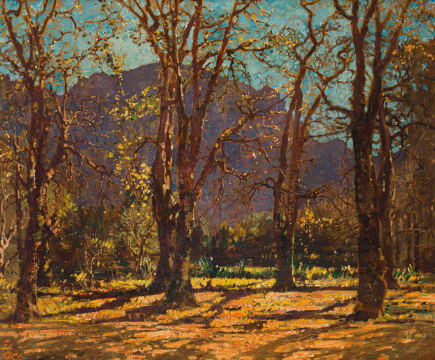 Robert Gwelo Goodman; From the Garden of Newlands House