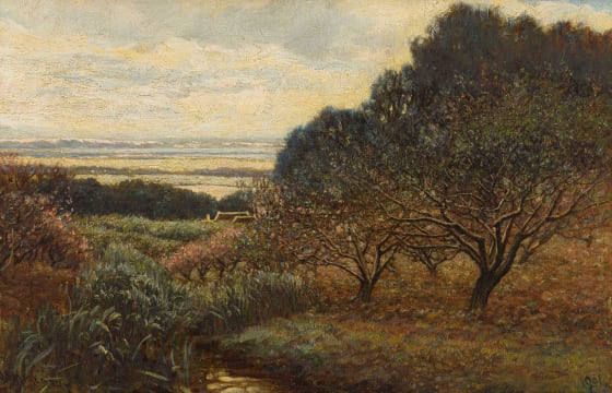 James Smith Morland; View from Groot Constantia