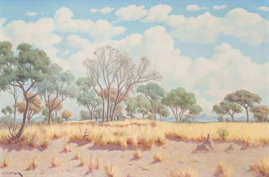 Willem Hermanus Coetzer; Bosveld N. Transvaal (Bushveld N. Transvaal)