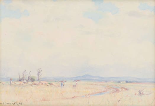 Willem Hermanus Coetzer; Landscape