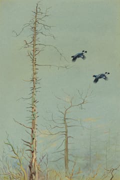 Philip Rickman; Over the Tops (Blackcock in Flight)