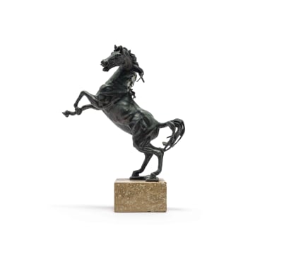 Danie de Jager; Rearing Stallion